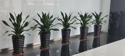 产品展示