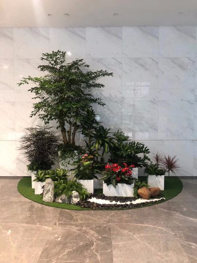 室内绿植设计