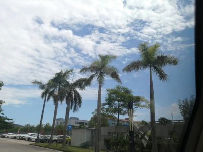 丽珠医药集团