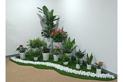 精品组合盆栽