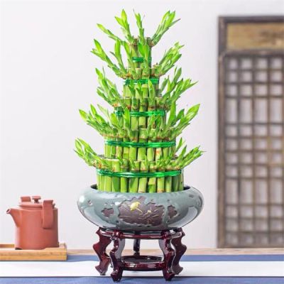 开运竹