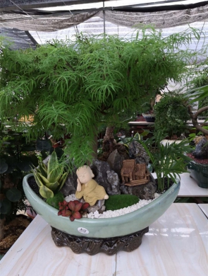 福禄寿