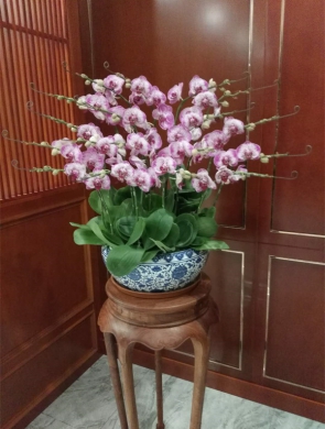 兰花
