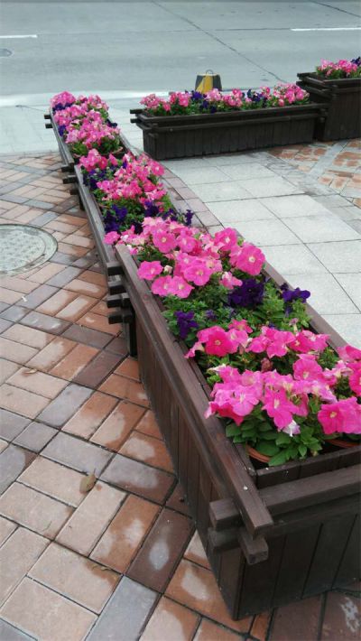 时花
