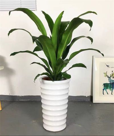 小福贵