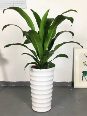 小福贵